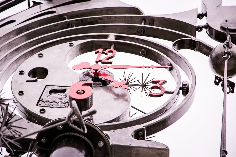 Беличьи угодья