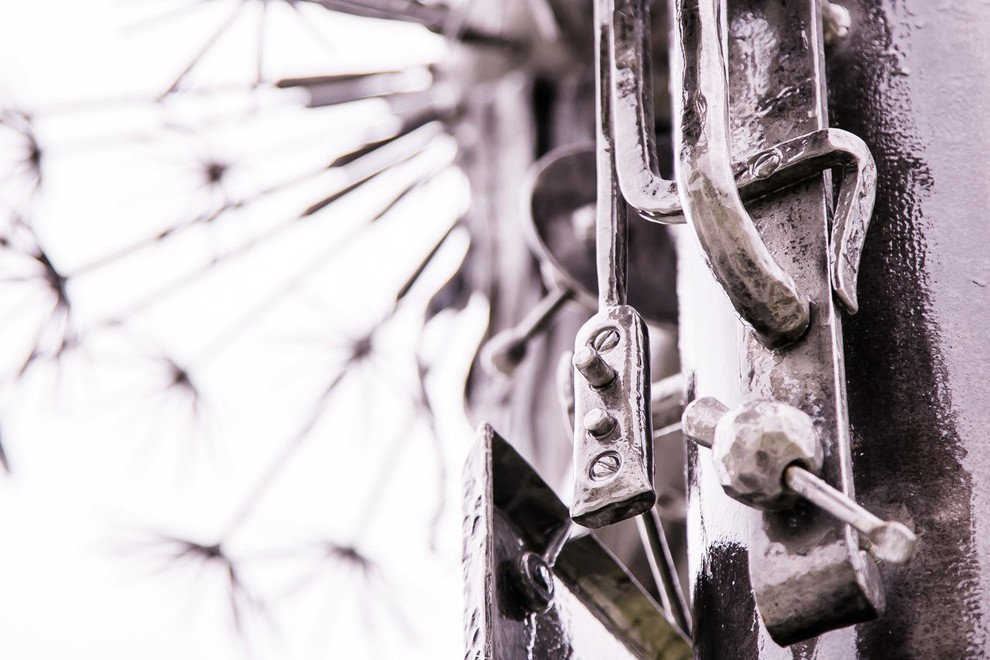 Беличьи угодья