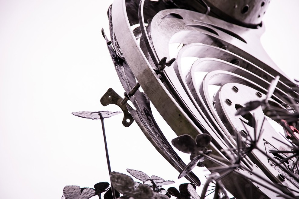 Беличьи угодья