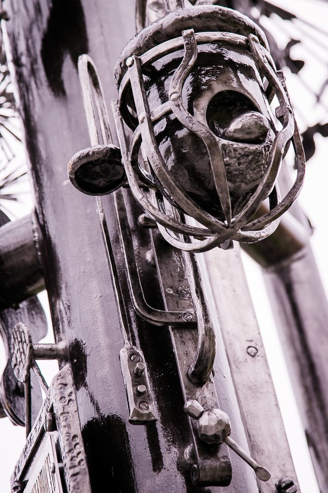 Беличьи угодья