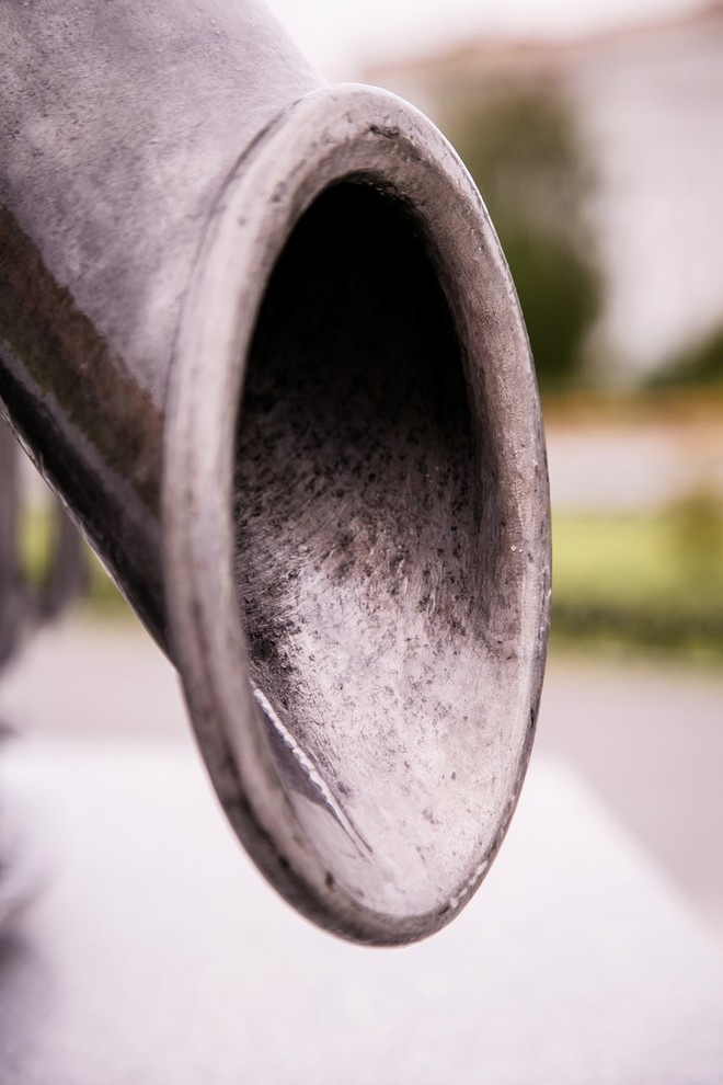 Беличьи угодья