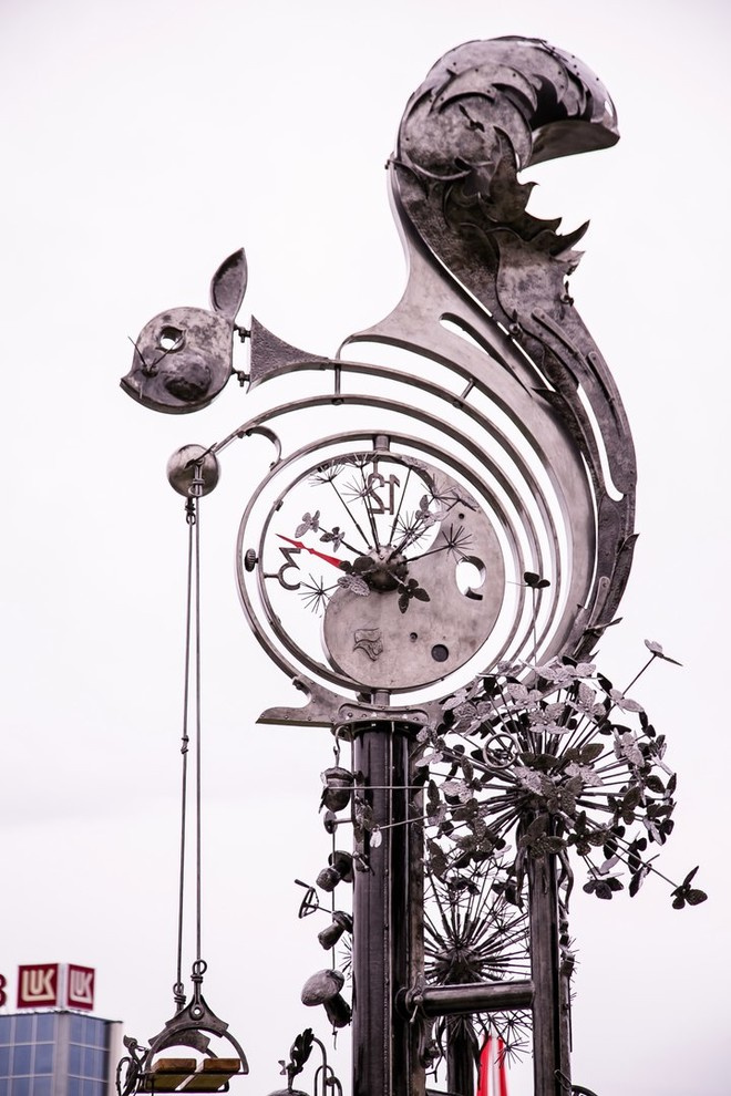 Беличьи угодья