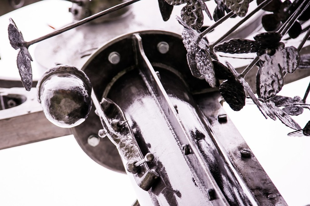 Беличьи угодья