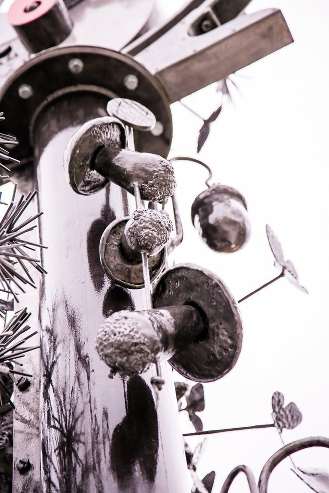 Беличьи угодья