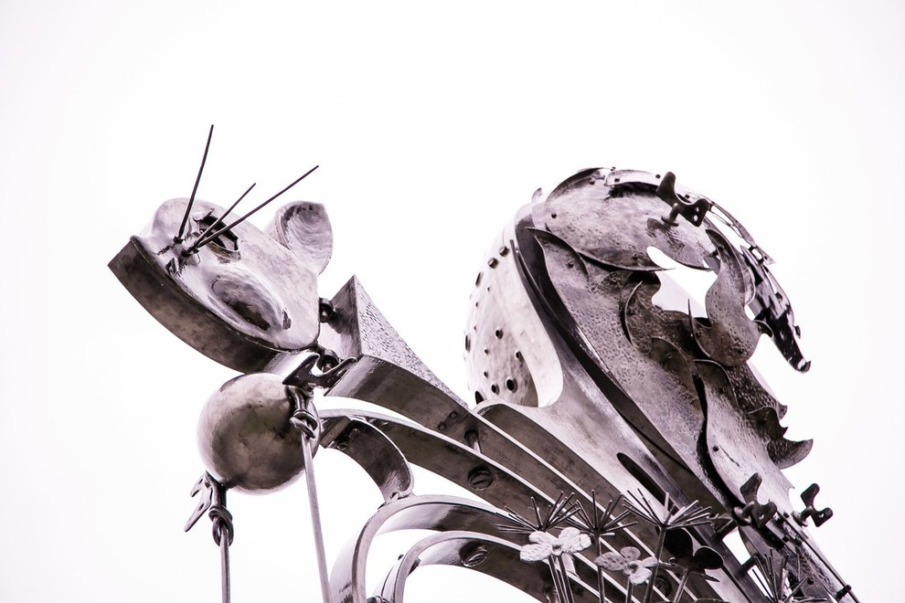 Беличьи угодья