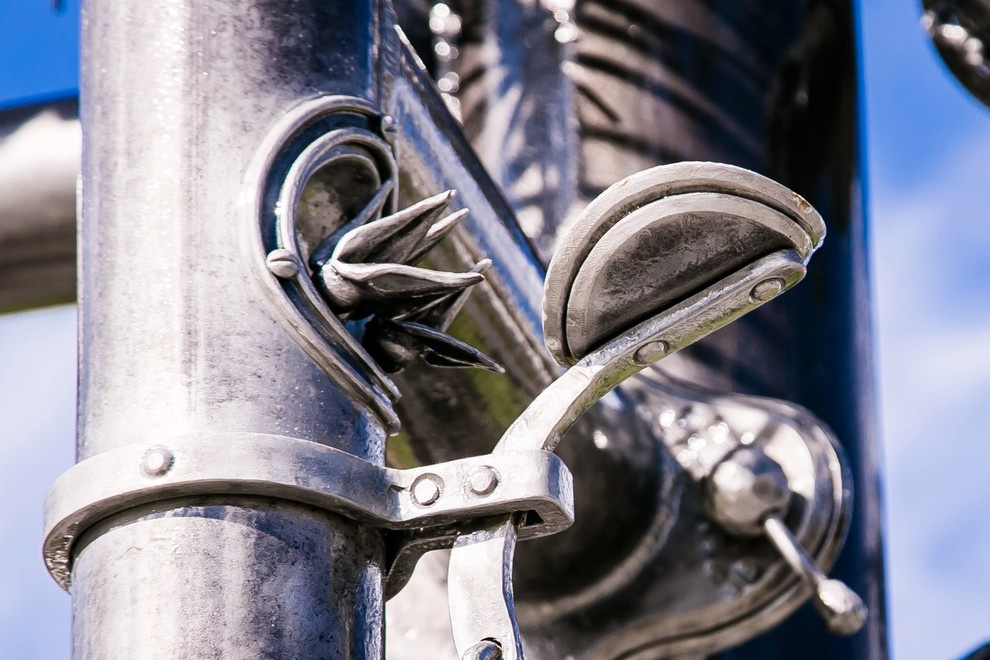 Беличьи угодья