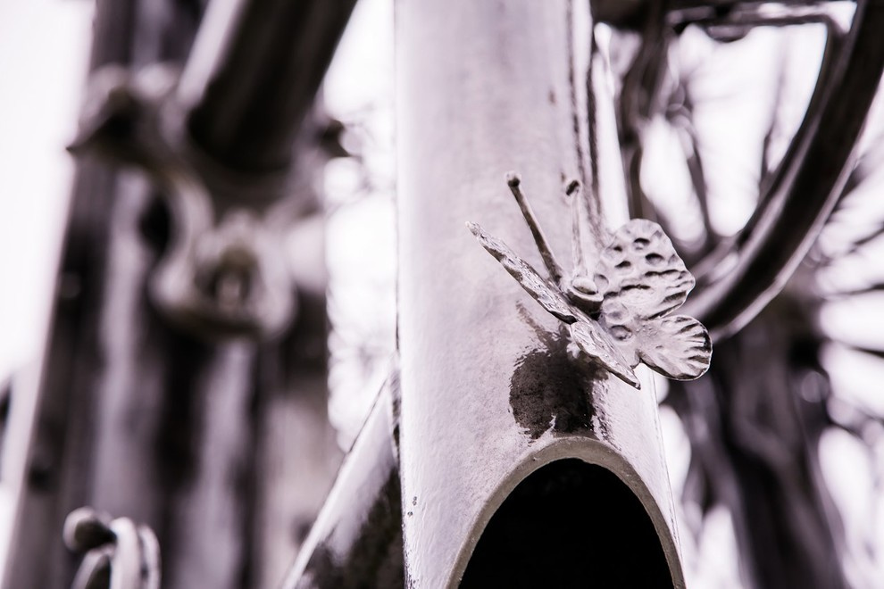 Беличьи угодья