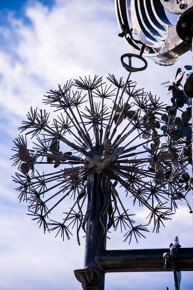 Беличьи угодья