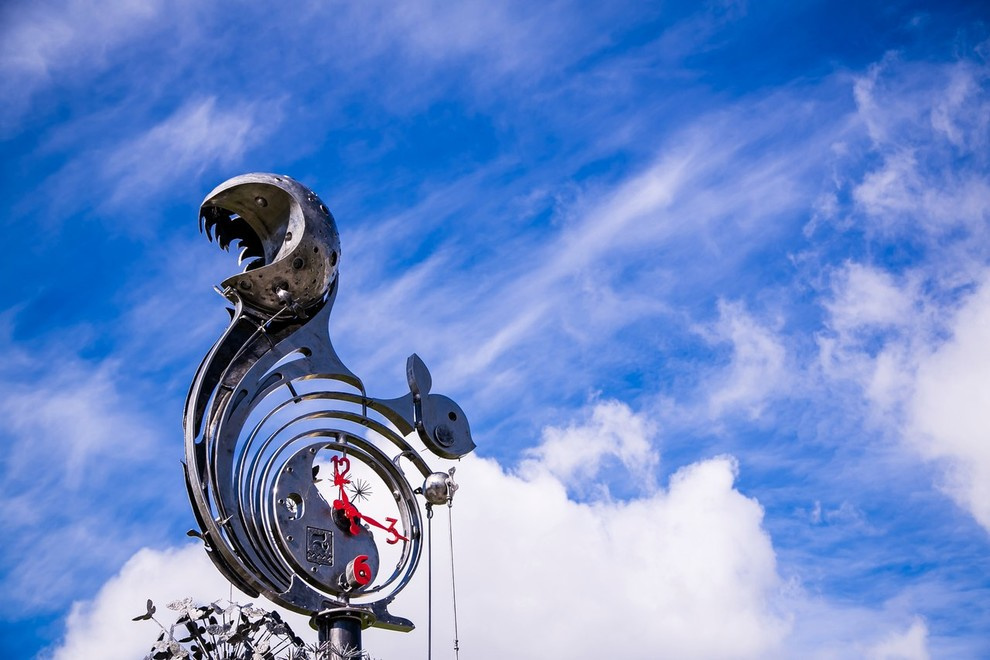 Беличьи угодья