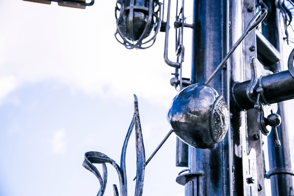 Беличьи угодья