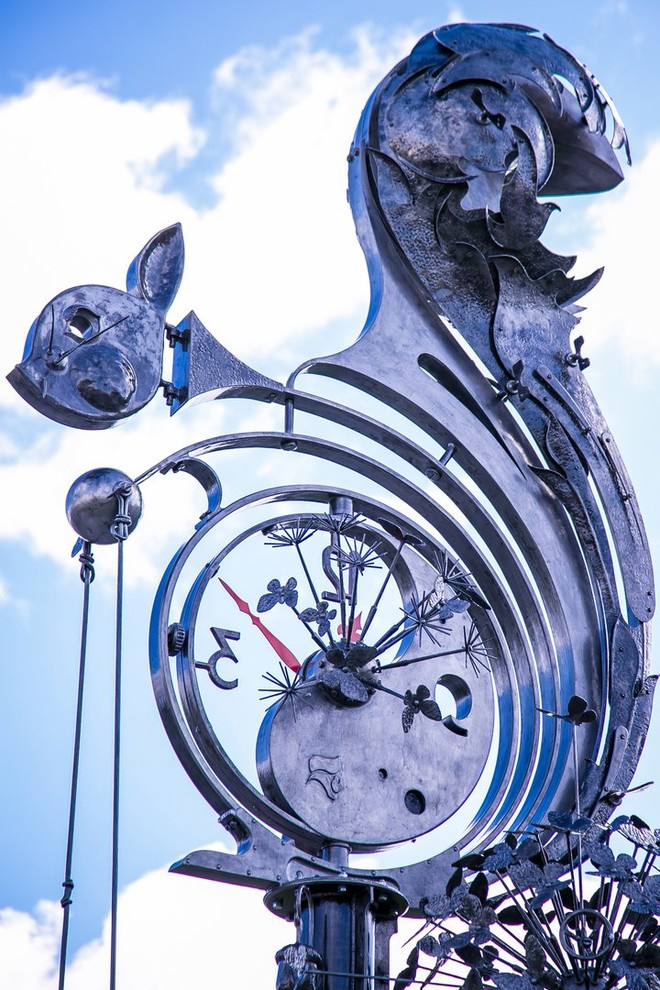 Беличьи угодья