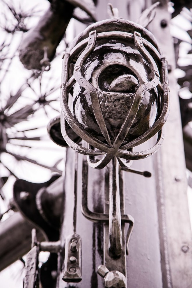 Беличьи угодья