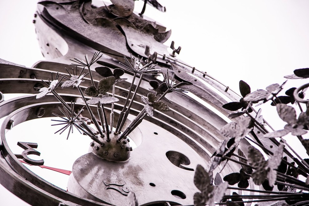 Беличьи угодья