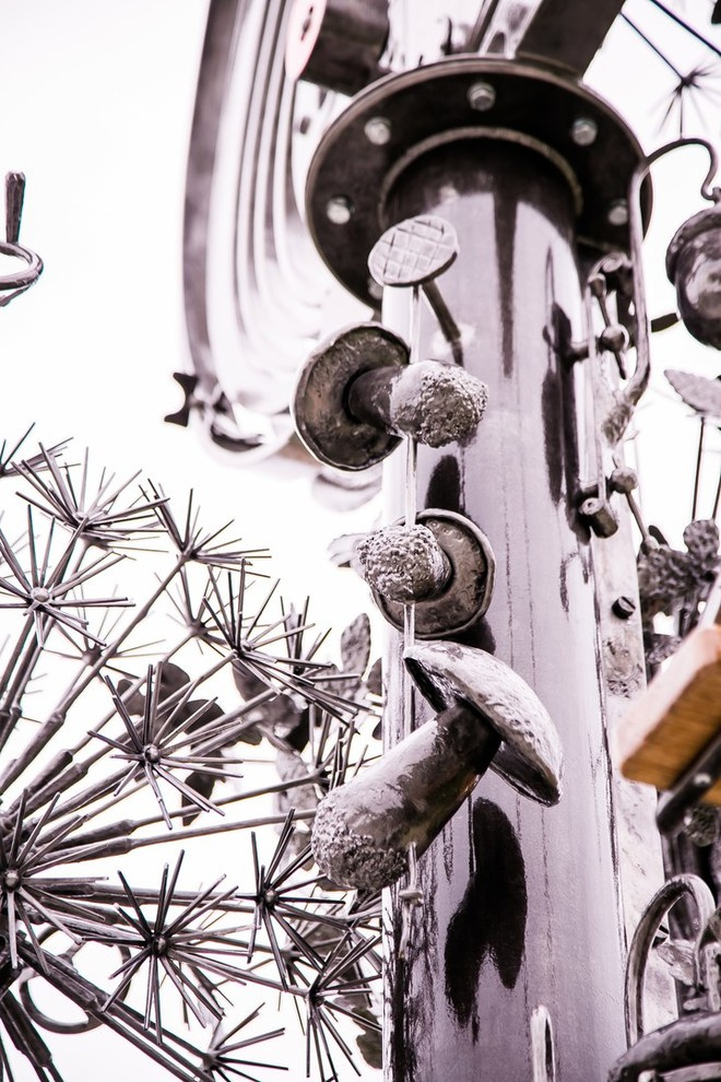 Беличьи угодья