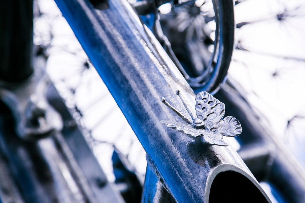 Беличьи угодья