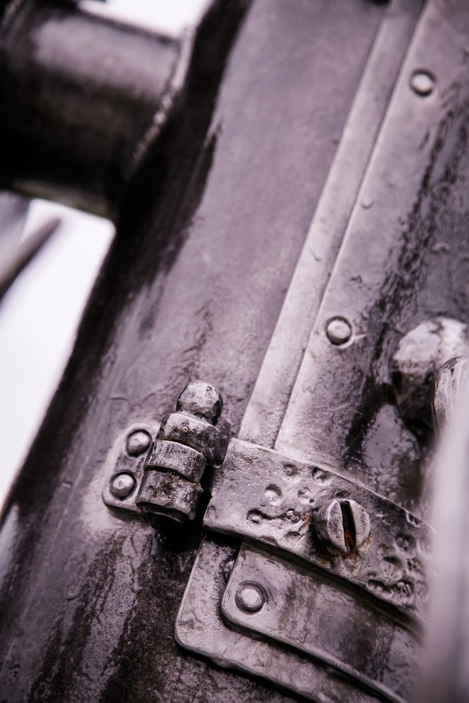 Беличьи угодья