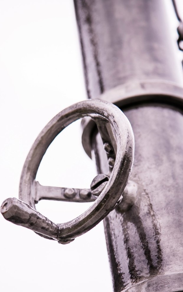 Беличьи угодья