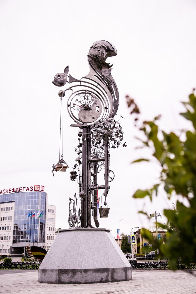 Беличьи угодья