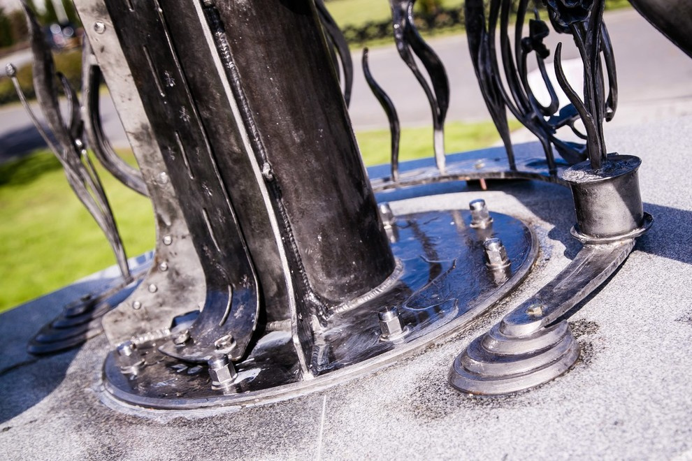 Беличьи угодья