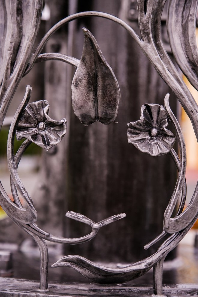 Беличьи угодья