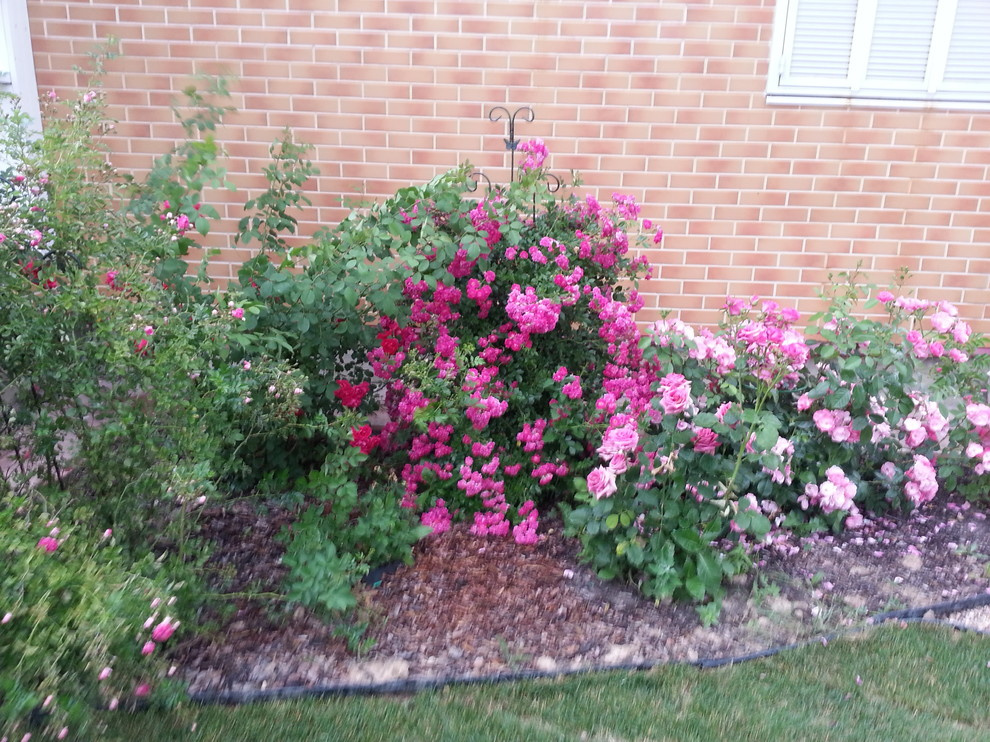 Дача 8 соток