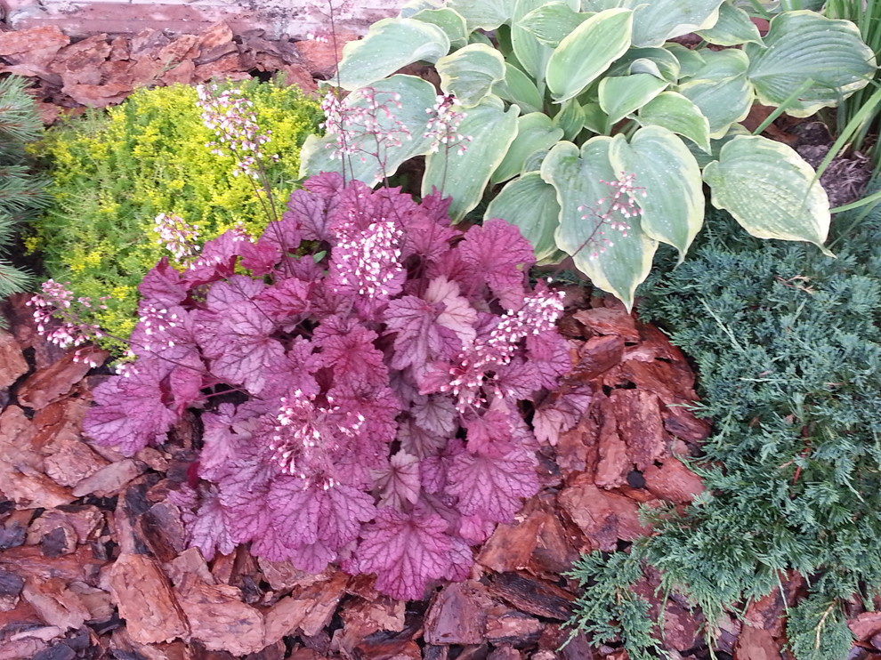 Обложка проекта: Дача 8 соток