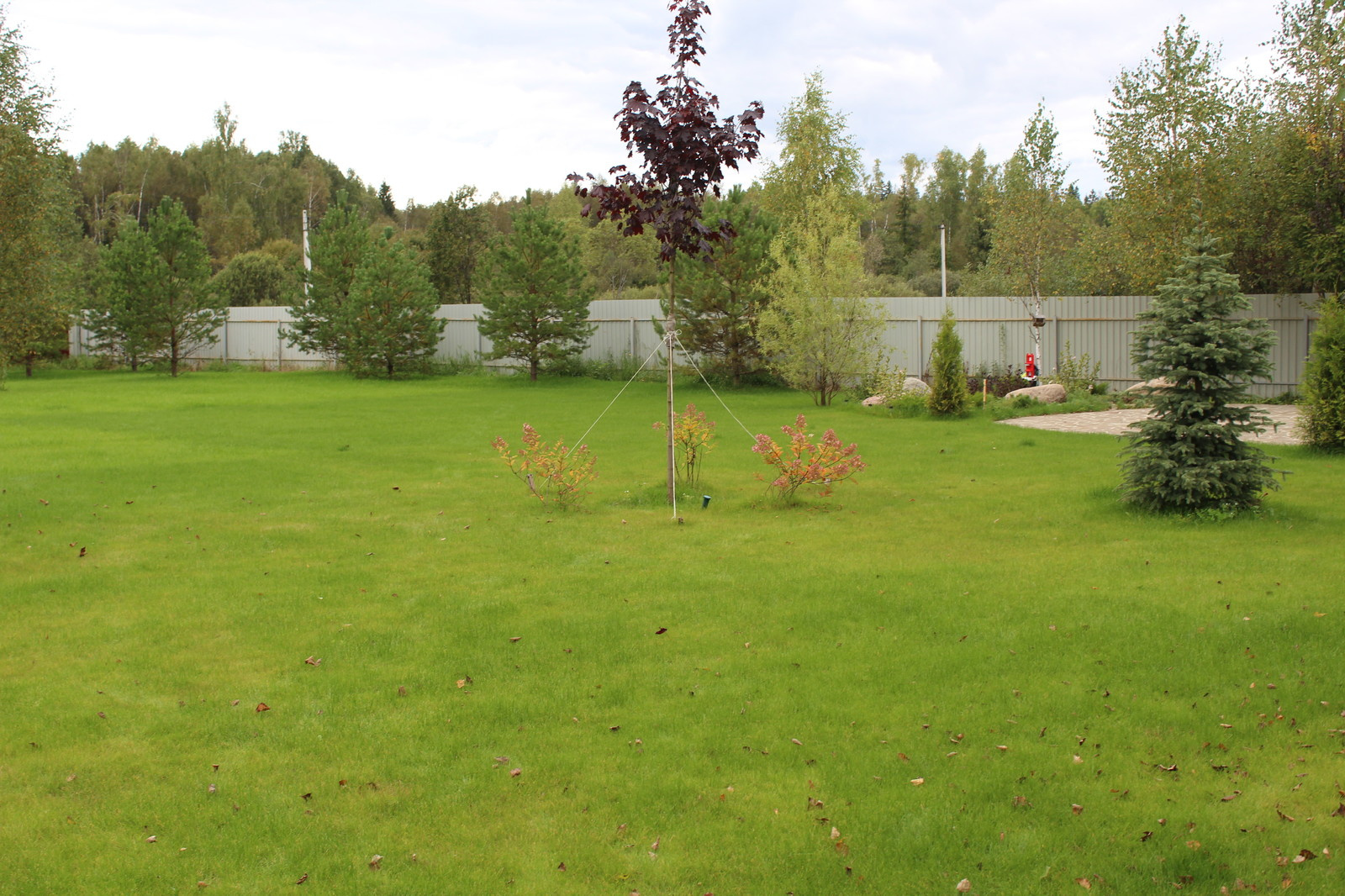 Дача 40 соток