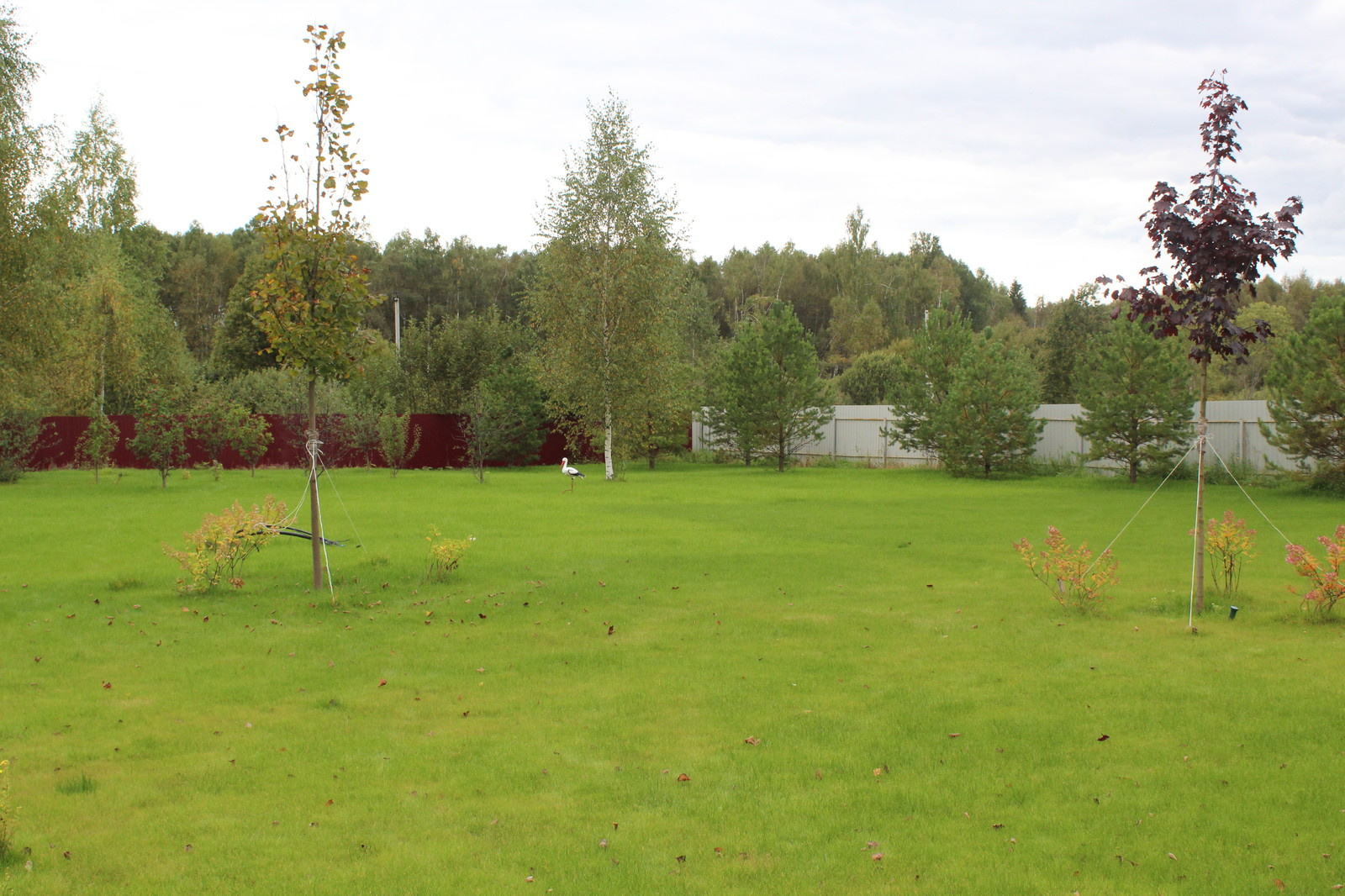 Дача 40 соток