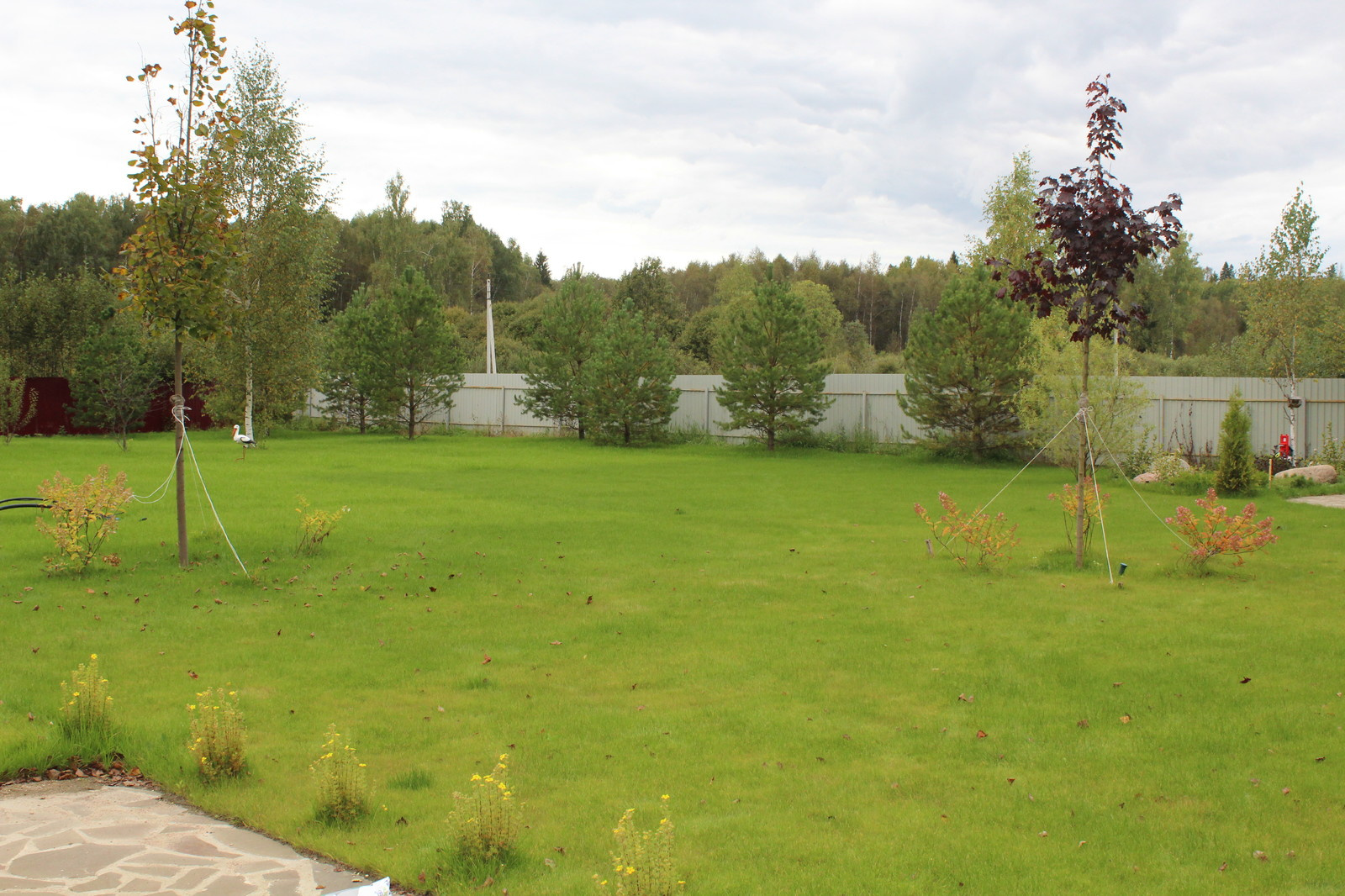 Дача 40 соток