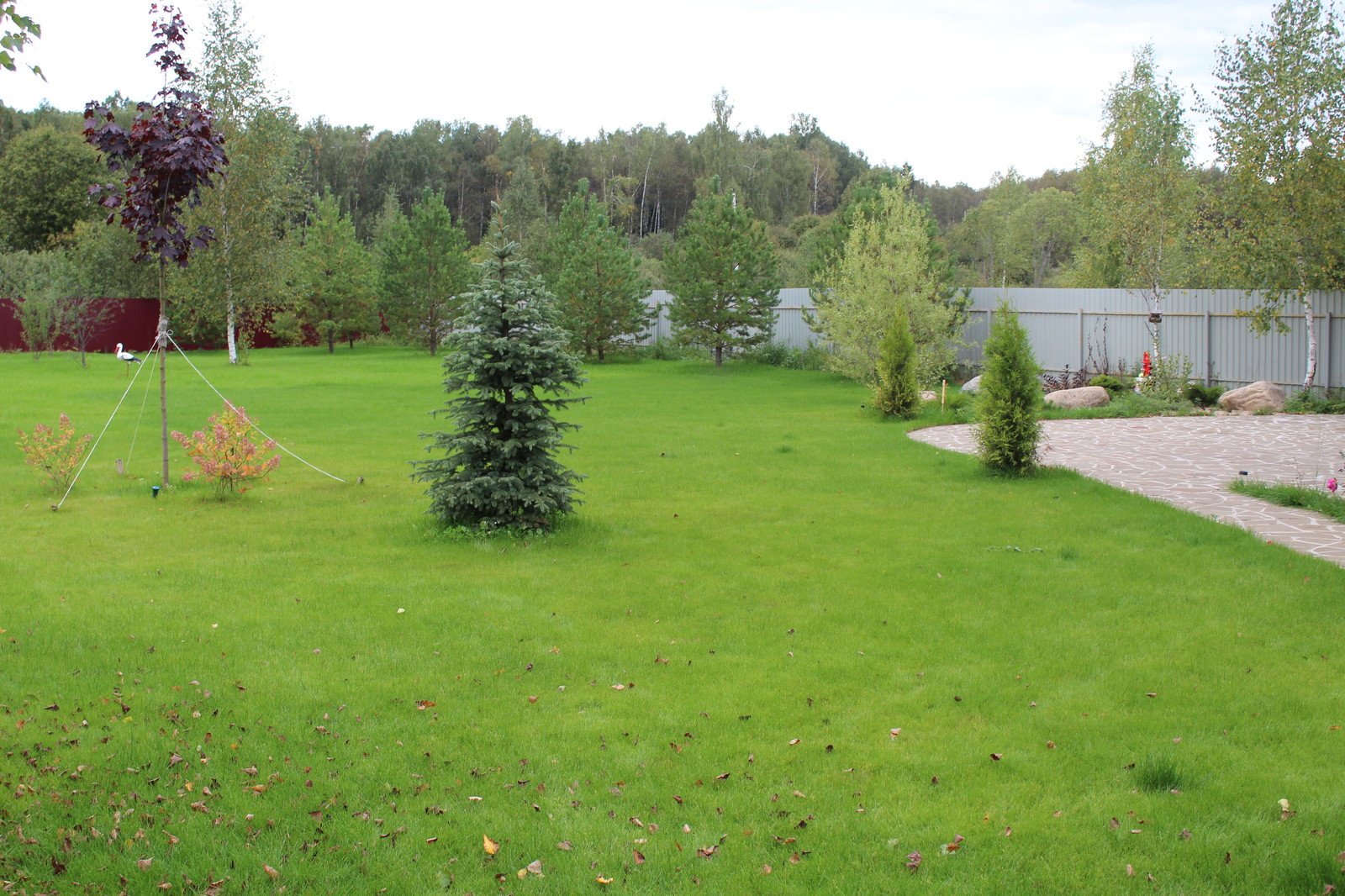 Дача 40 соток