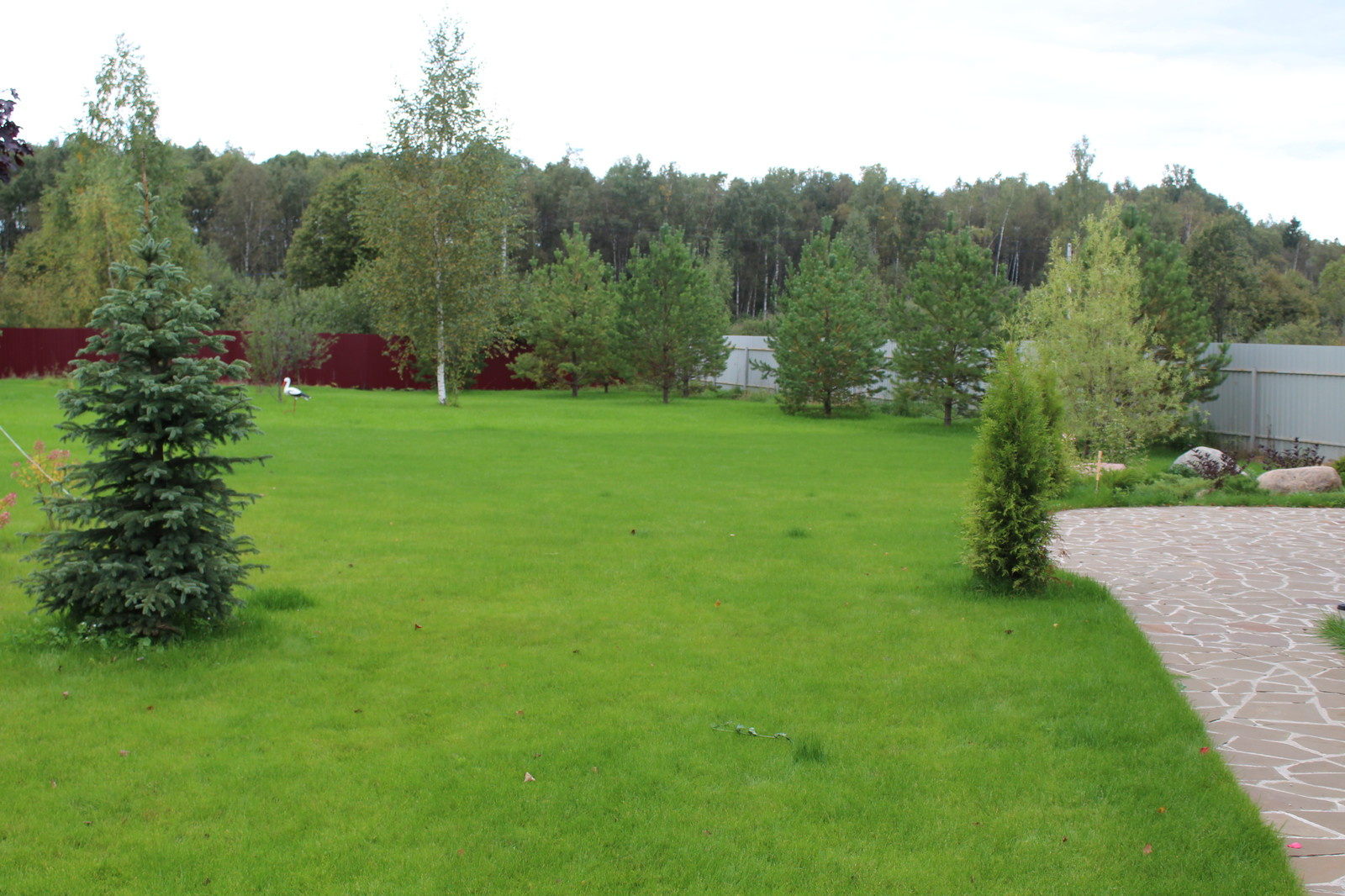 Дача 40 соток