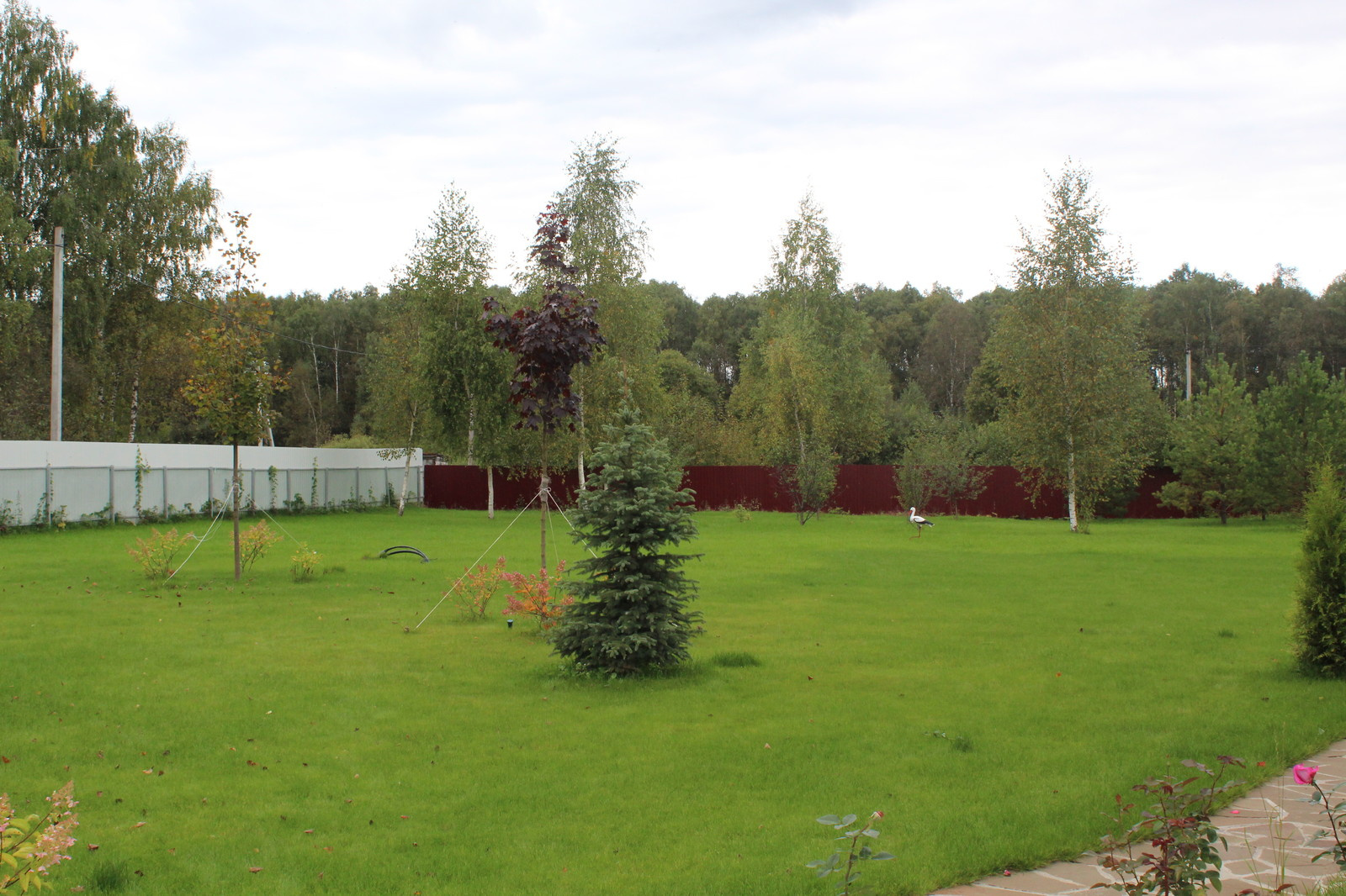 Дача 40 соток