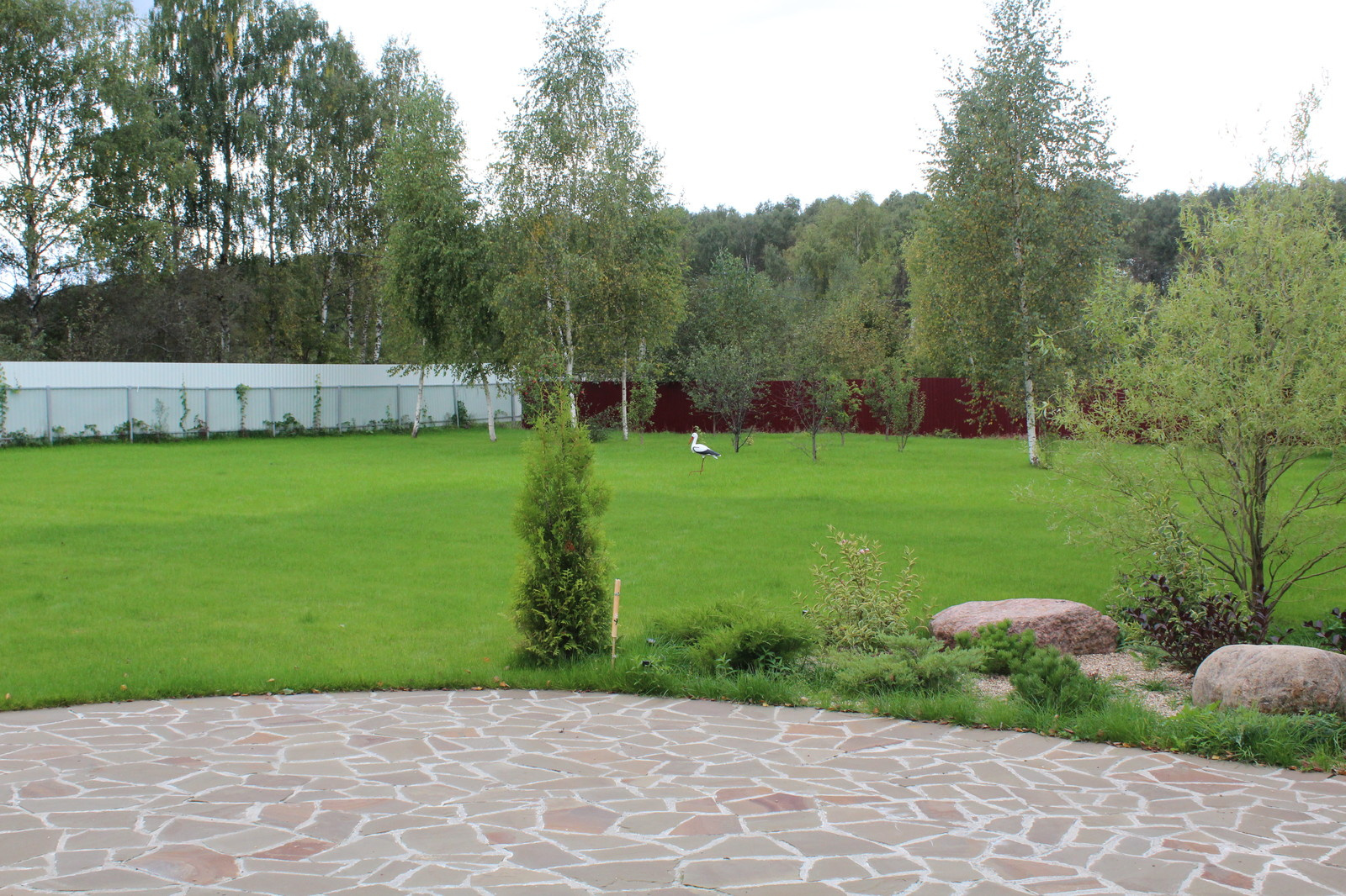 Дача 40 соток