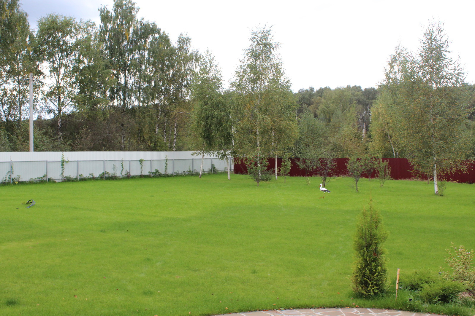 Дача 40 соток