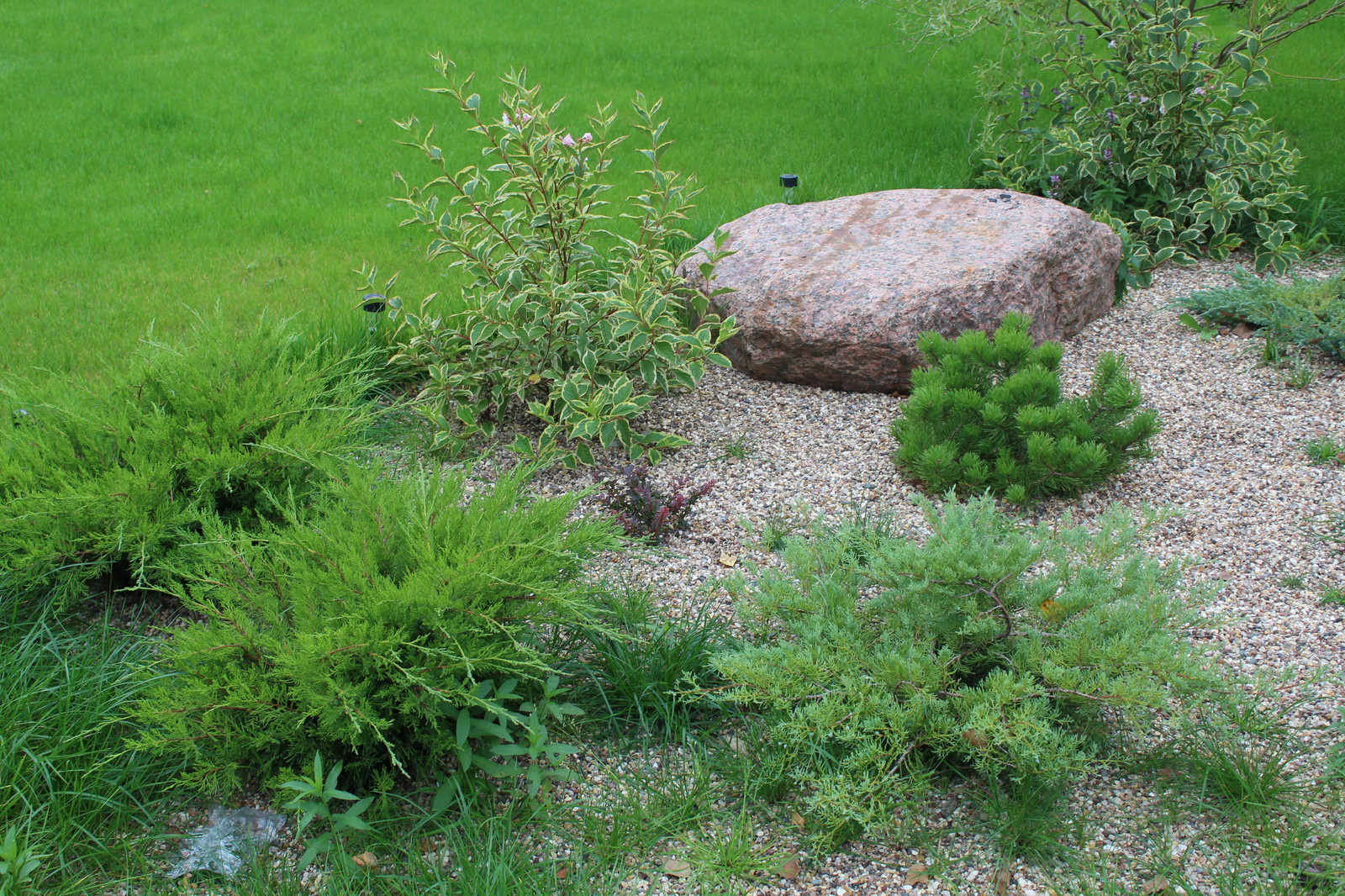 Дача 40 соток