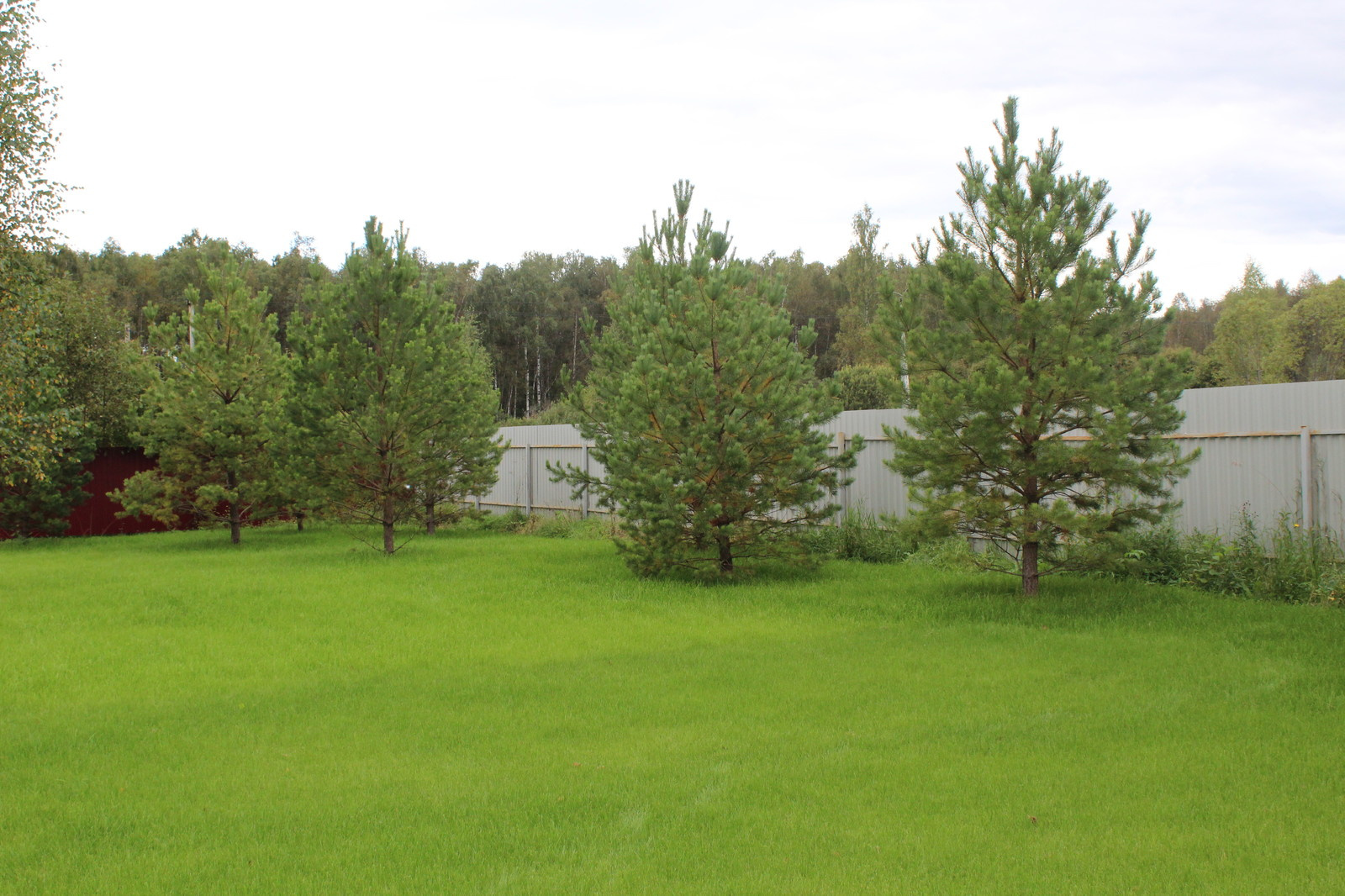 Дача 40 соток