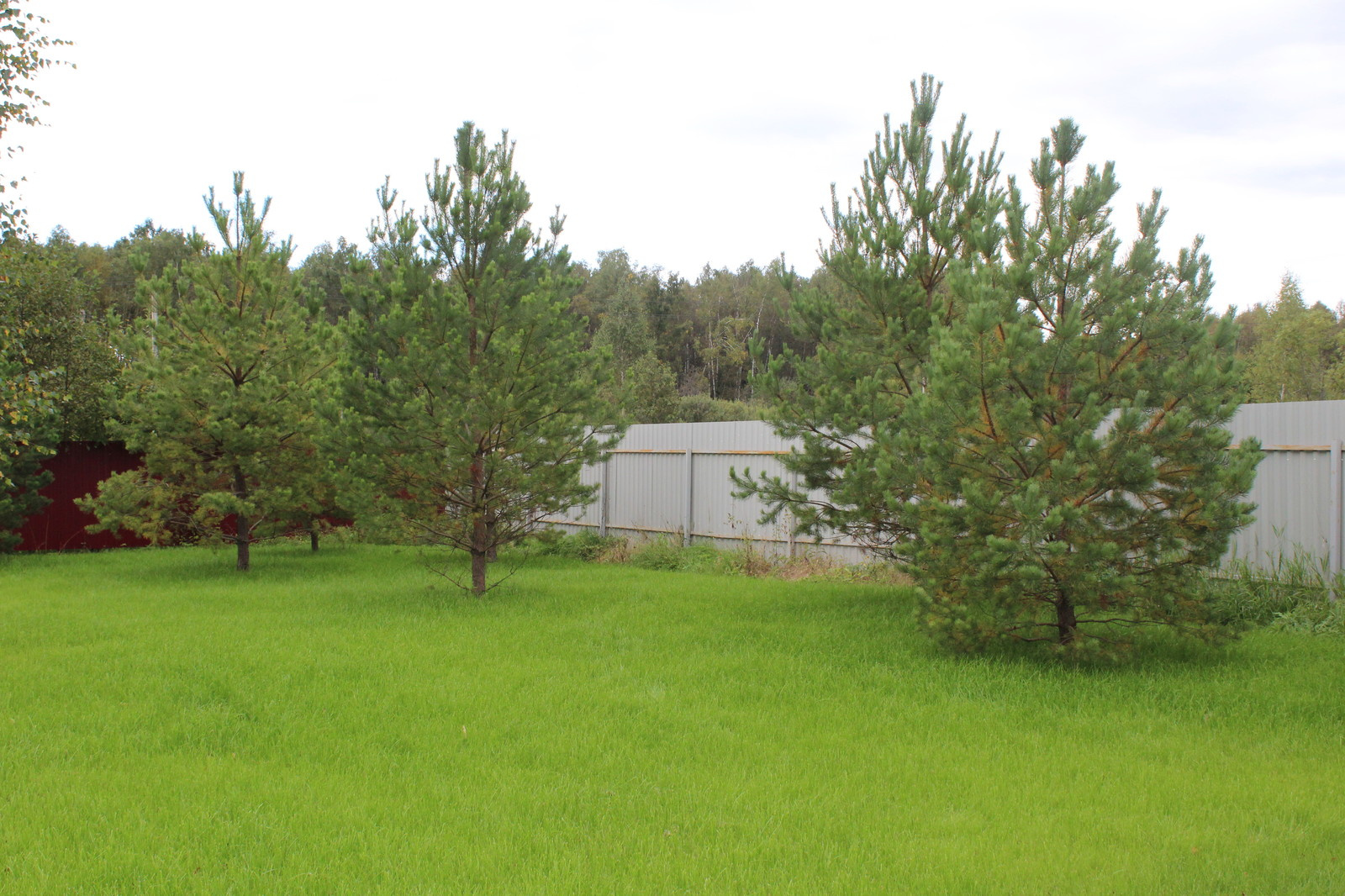 Дача 40 соток