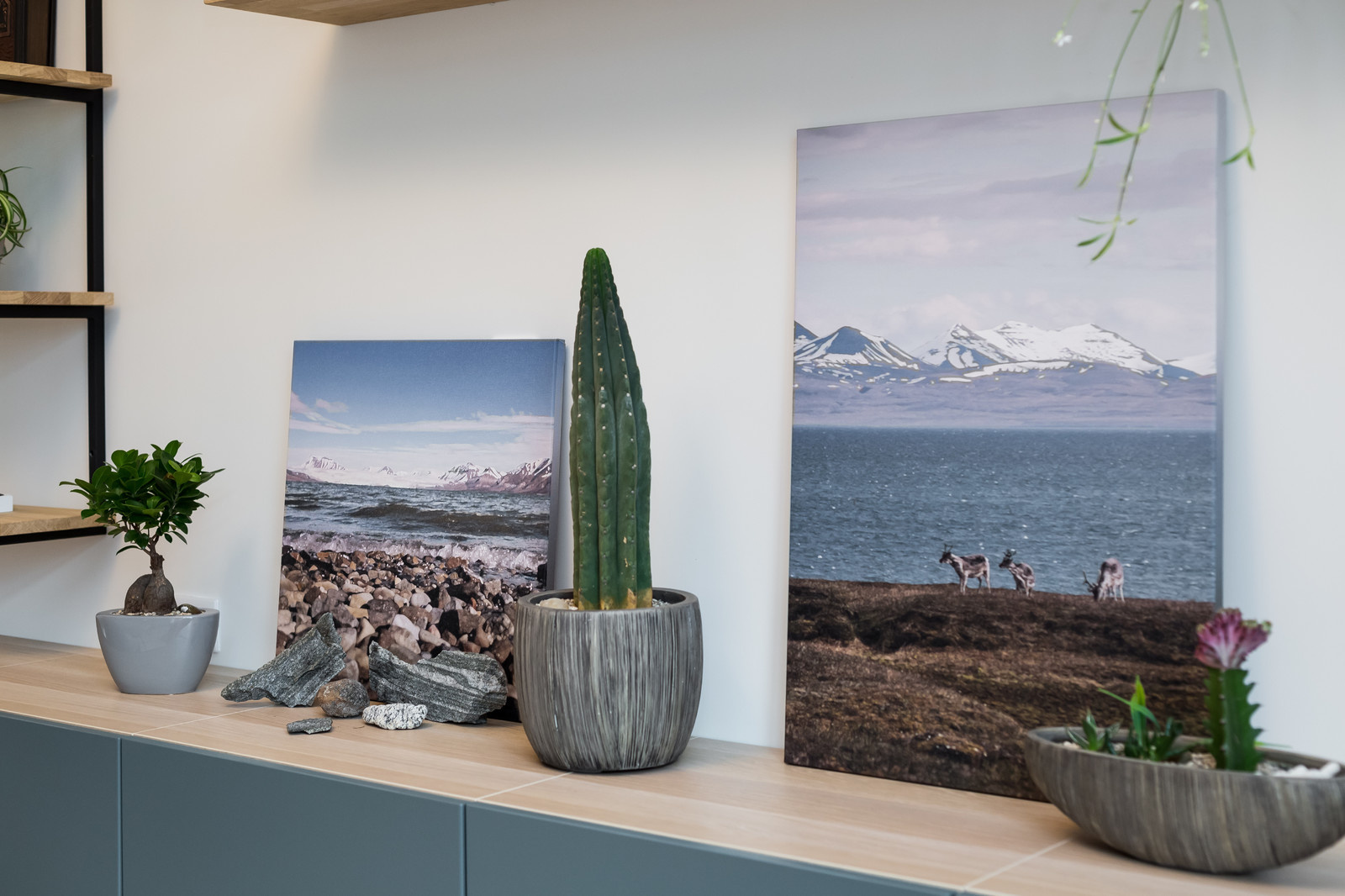 Теплая Скандинавия на Петроградке