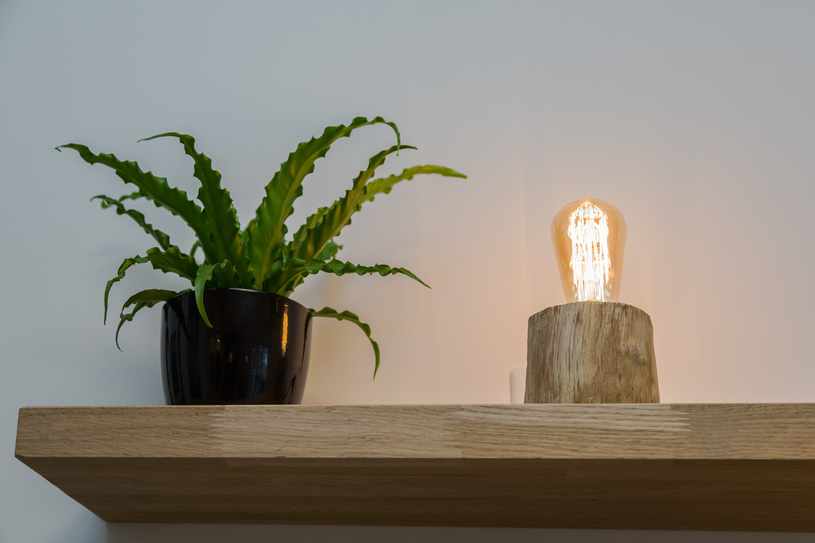 Теплая Скандинавия на Петроградке