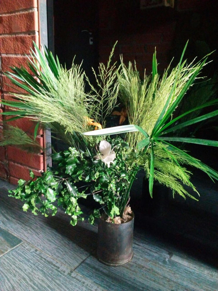 Композиции из растений