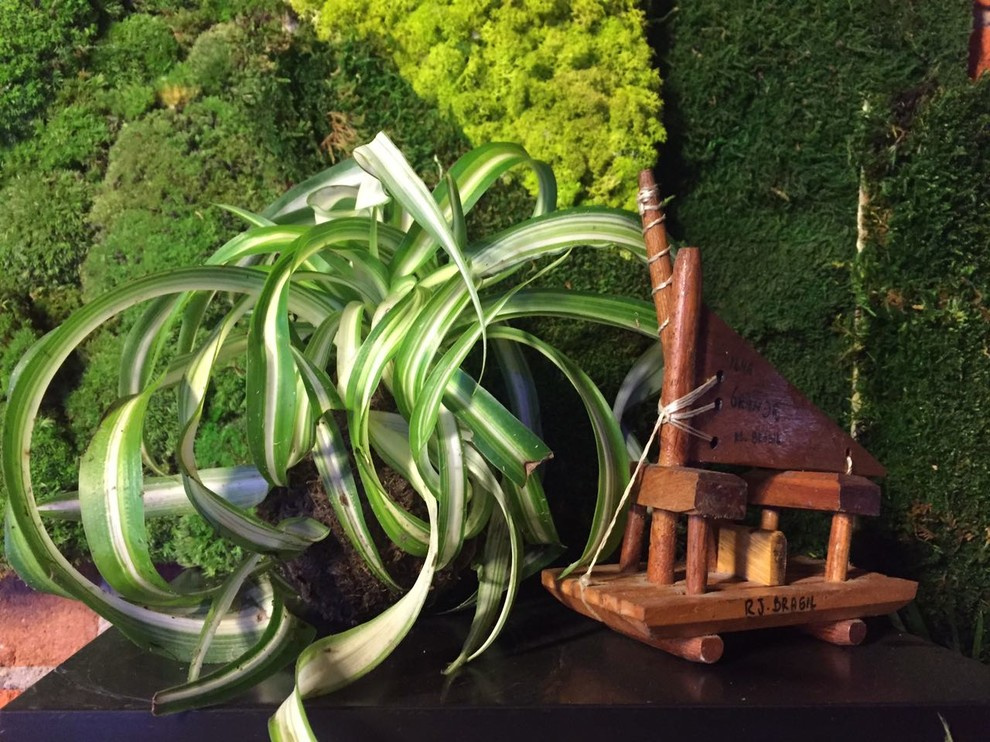 Композиции из растений