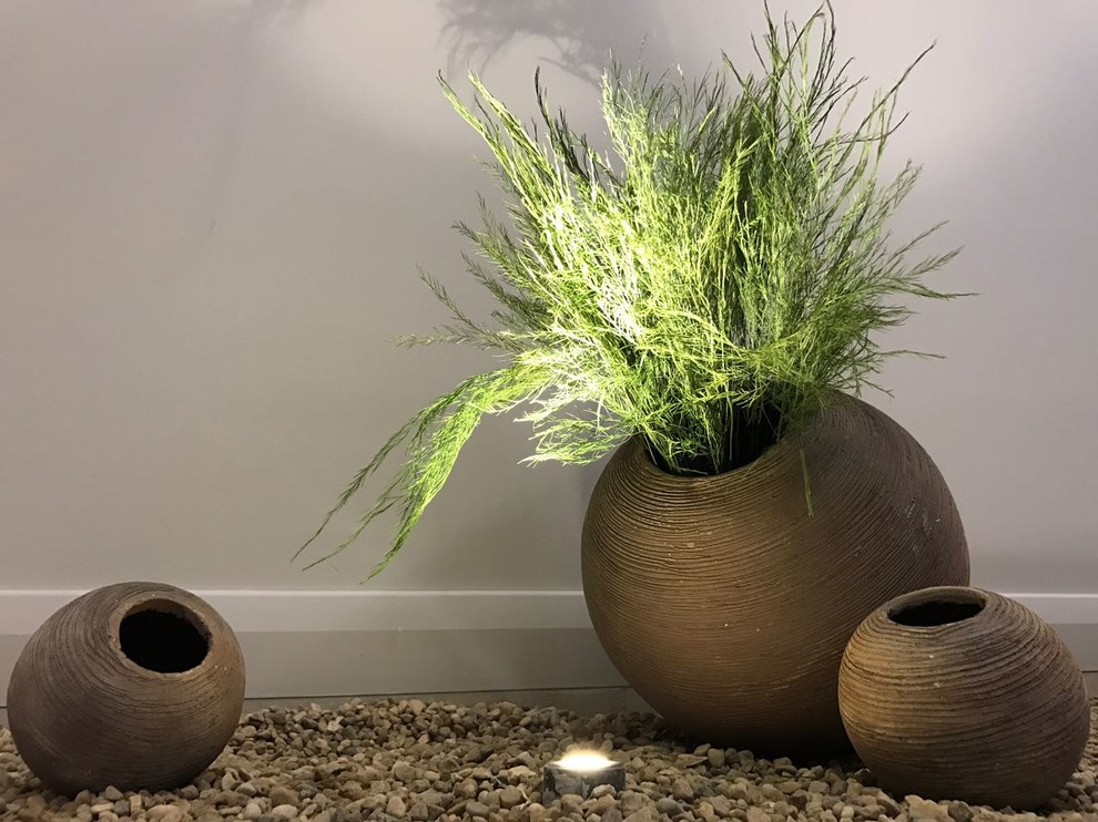 Композиции из растений