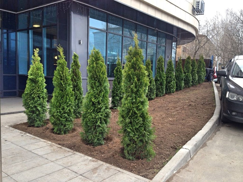 Наши работы