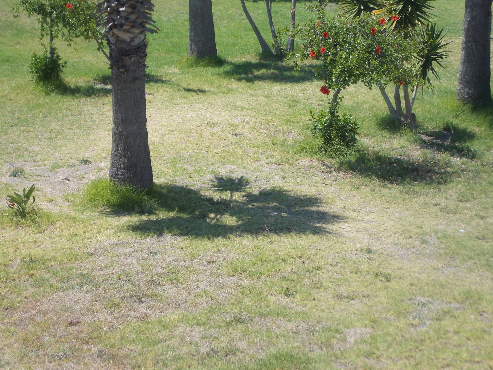 Клумбы в вашем дворе - просто, быстро и очень красиво! Канада Грин!