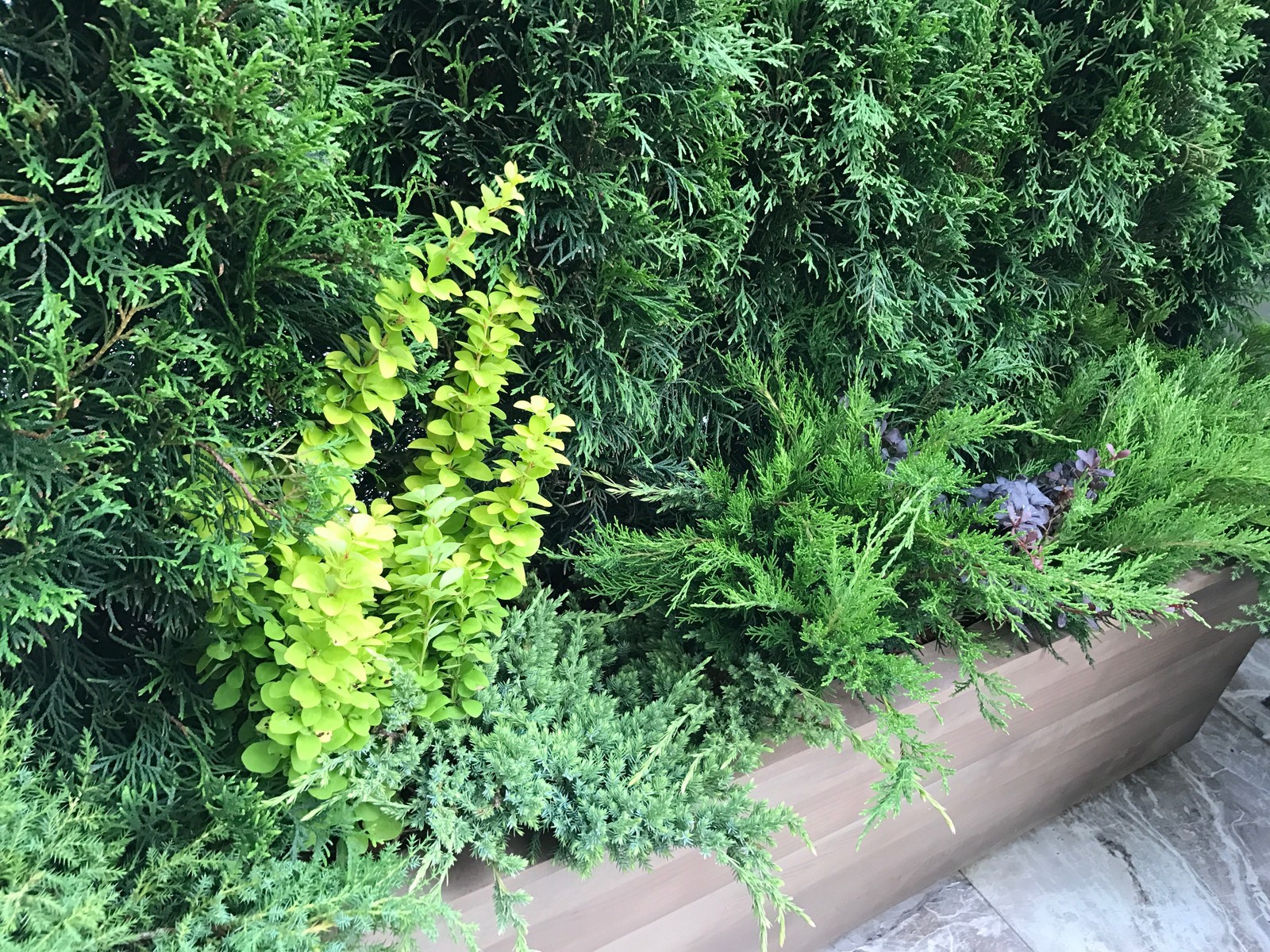 Балконы на Якиманке