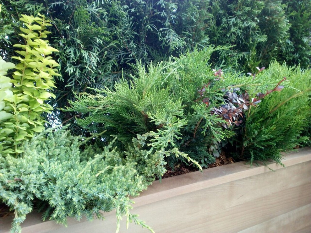 Балконы на Якиманке