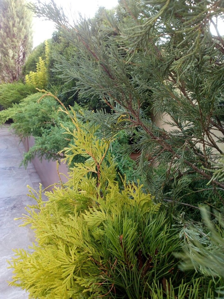 Балконы на Якиманке