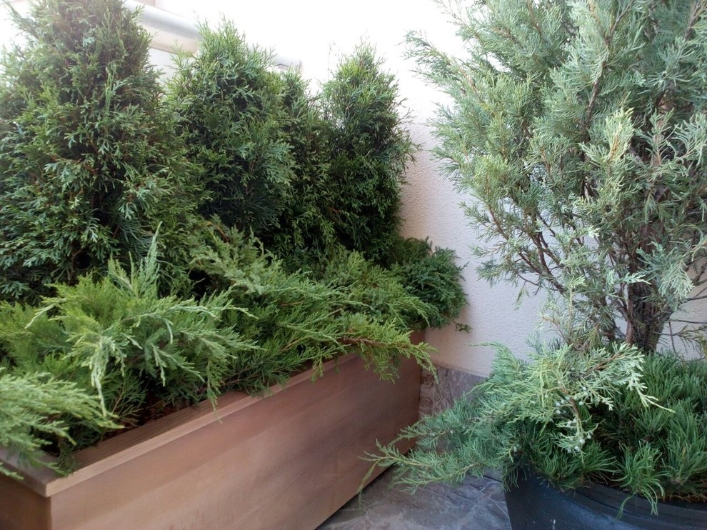 Балконы на Якиманке