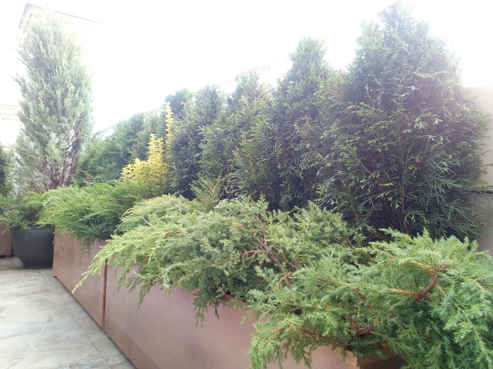 Балконы на Якиманке