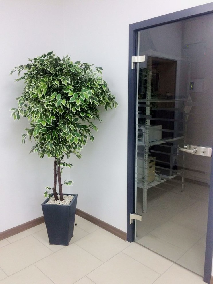 Декорирование искусственными растениями офисного пространства